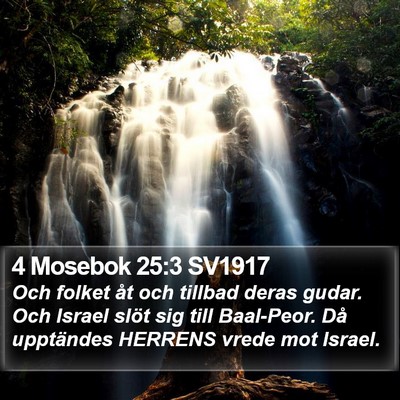 4 Mosebok 25:3 SV1917 Bible Verse Image