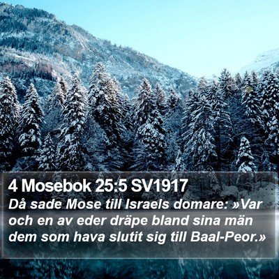 4 Mosebok 25:5 SV1917 Bible Verse Image