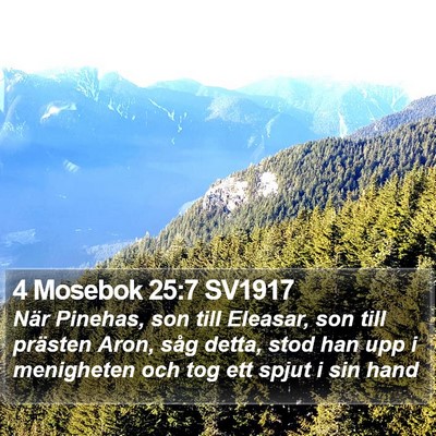 4 Mosebok 25:7 SV1917 Bible Verse Image