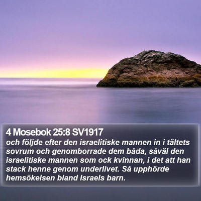 4 Mosebok 25:8 SV1917 Bible Verse Image