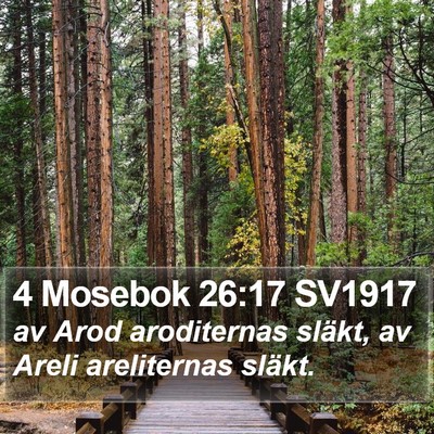 4 Mosebok 26:17 SV1917 Bible Verse Image