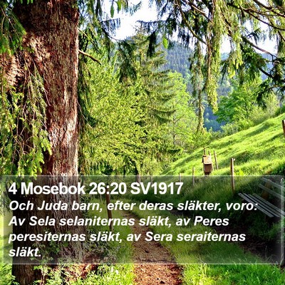 4 Mosebok 26:20 SV1917 Bible Verse Image