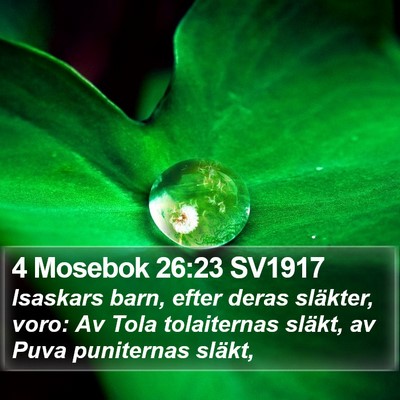 4 Mosebok 26:23 SV1917 Bible Verse Image