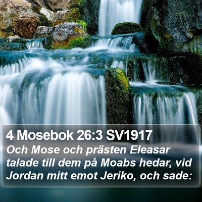 4 Mosebok 26:3 SV1917 Bible Verse Image