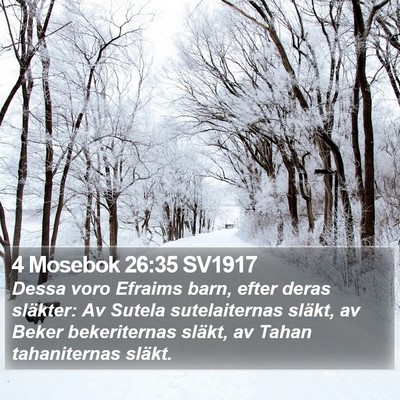 4 Mosebok 26:35 SV1917 Bible Verse Image