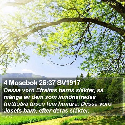 4 Mosebok 26:37 SV1917 Bible Verse Image