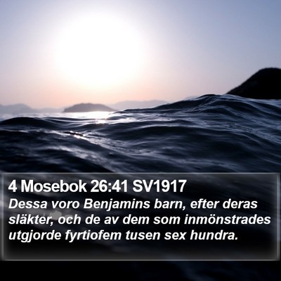 4 Mosebok 26:41 SV1917 Bible Verse Image