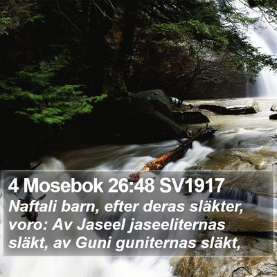 4 Mosebok 26:48 SV1917 Bible Verse Image