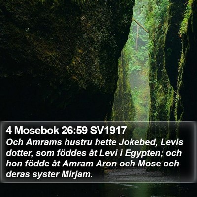 4 Mosebok 26:59 SV1917 Bible Verse Image