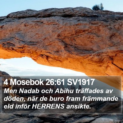 4 Mosebok 26:61 SV1917 Bible Verse Image