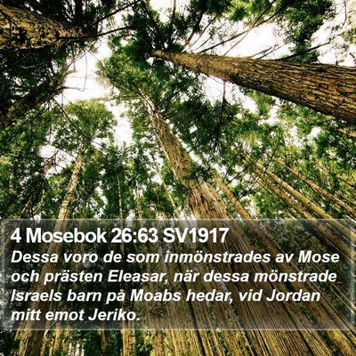 4 Mosebok 26:63 SV1917 Bible Verse Image