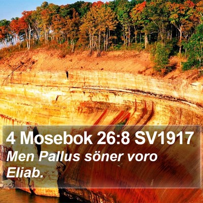 4 Mosebok 26:8 SV1917 Bible Verse Image