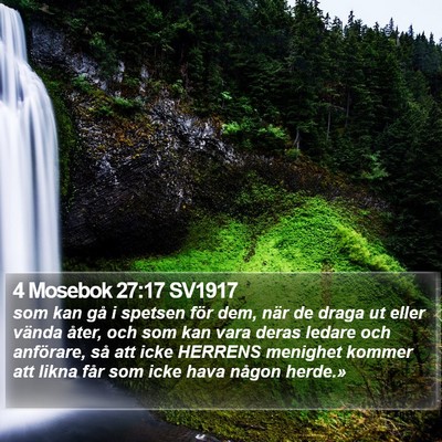 4 Mosebok 27:17 SV1917 Bible Verse Image