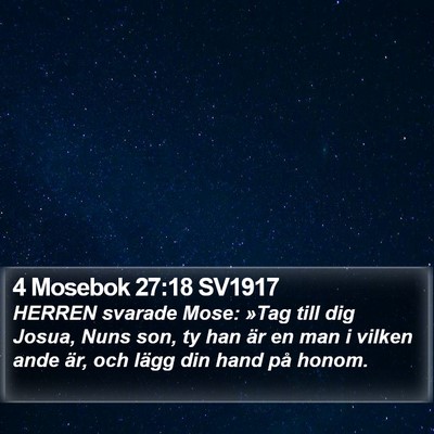 4 Mosebok 27:18 SV1917 Bible Verse Image