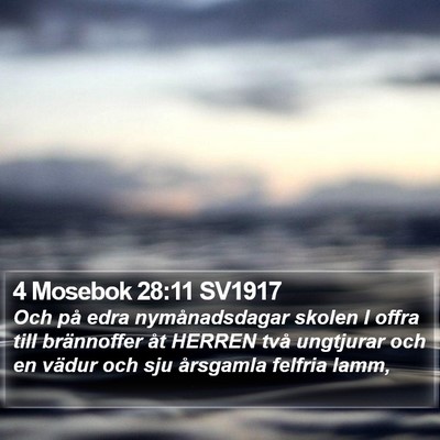 4 Mosebok 28:11 SV1917 Bible Verse Image