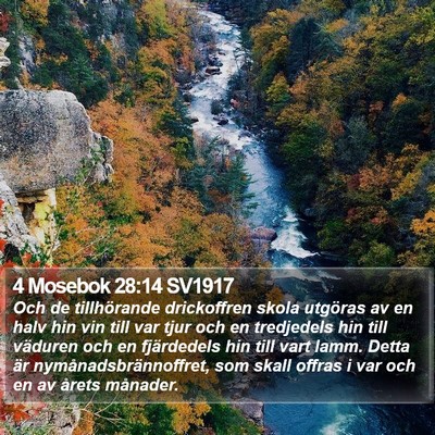 4 Mosebok 28:14 SV1917 Bible Verse Image