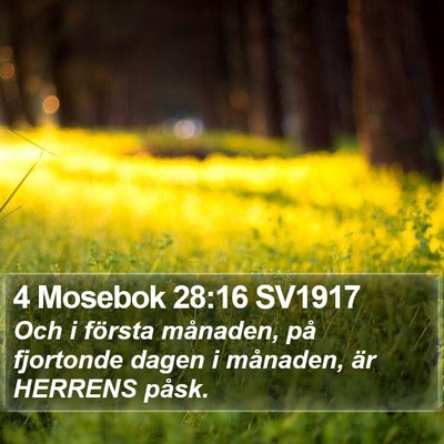 4 Mosebok 28:16 SV1917 Bible Verse Image