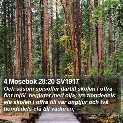 4 Mosebok 28:20 SV1917 Bible Verse Image