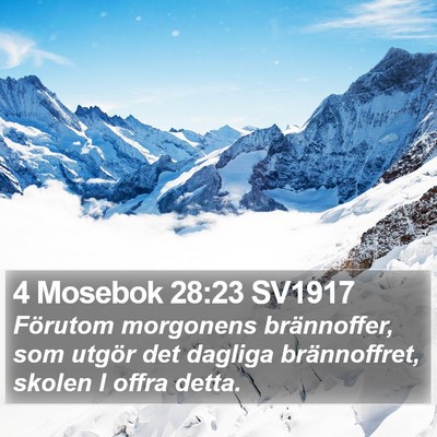 4 Mosebok 28:23 SV1917 Bible Verse Image
