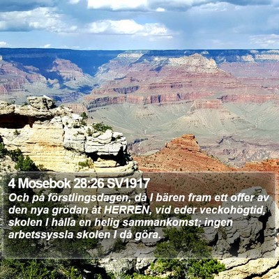 4 Mosebok 28:26 SV1917 Bible Verse Image