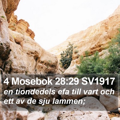 4 Mosebok 28:29 SV1917 Bible Verse Image