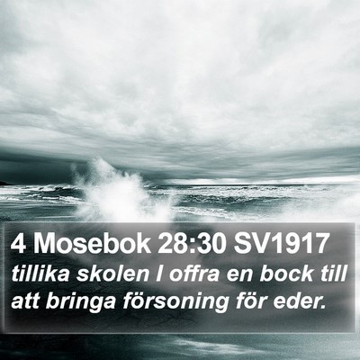 4 Mosebok 28:30 SV1917 Bible Verse Image