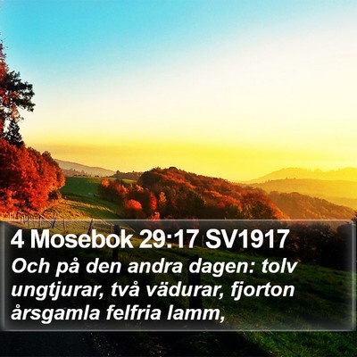 4 Mosebok 29:17 SV1917 Bible Verse Image