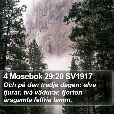 4 Mosebok 29:20 SV1917 Bible Verse Image