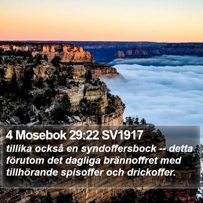 4 Mosebok 29:22 SV1917 Bible Verse Image