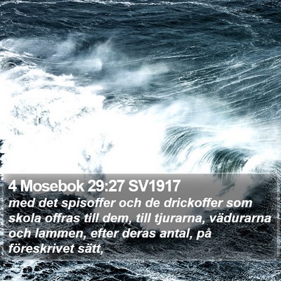 4 Mosebok 29:27 SV1917 Bible Verse Image