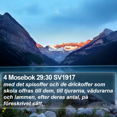 4 Mosebok 29:30 SV1917 Bible Verse Image