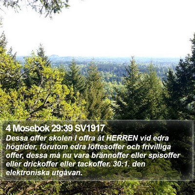 4 Mosebok 29:39 SV1917 Bible Verse Image