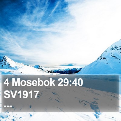 4 Mosebok 29:40 SV1917 Bible Verse Image
