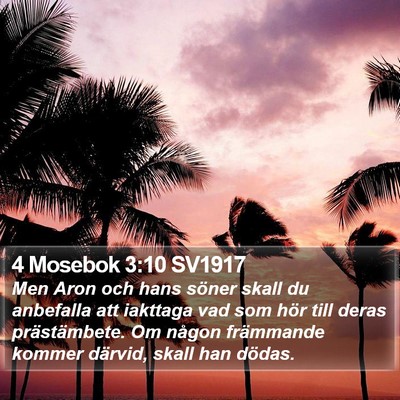 4 Mosebok 3:10 SV1917 Bible Verse Image