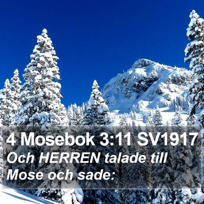 4 Mosebok 3:11 SV1917 Bible Verse Image