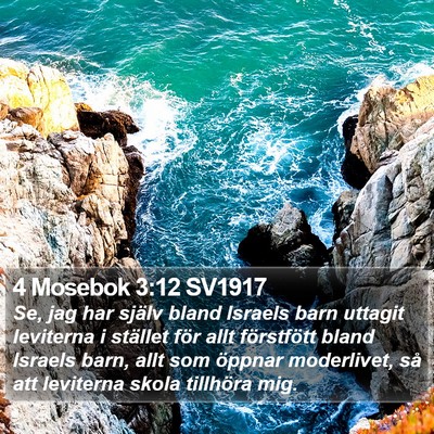 4 Mosebok 3:12 SV1917 Bible Verse Image