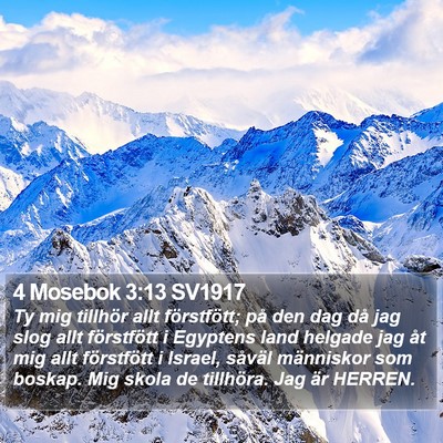 4 Mosebok 3:13 SV1917 Bible Verse Image