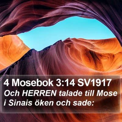 4 Mosebok 3:14 SV1917 Bible Verse Image