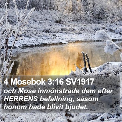 4 Mosebok 3:16 SV1917 Bible Verse Image