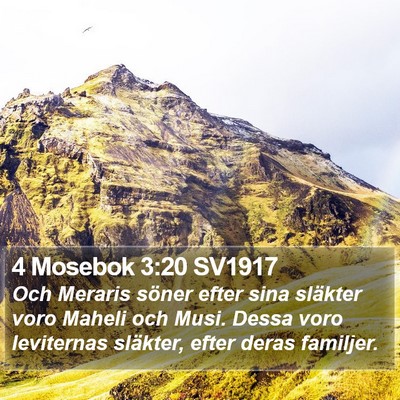 4 Mosebok 3:20 SV1917 Bible Verse Image