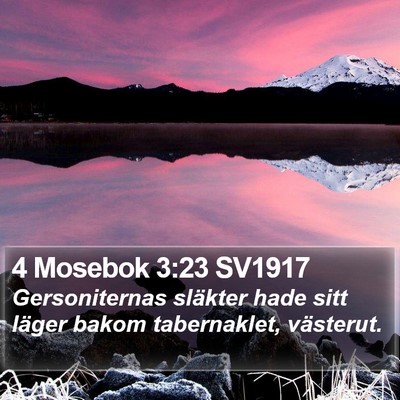 4 Mosebok 3:23 SV1917 Bible Verse Image