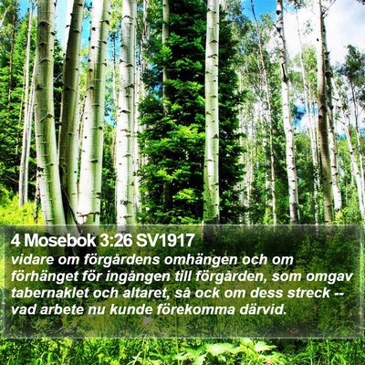 4 Mosebok 3:26 SV1917 Bible Verse Image