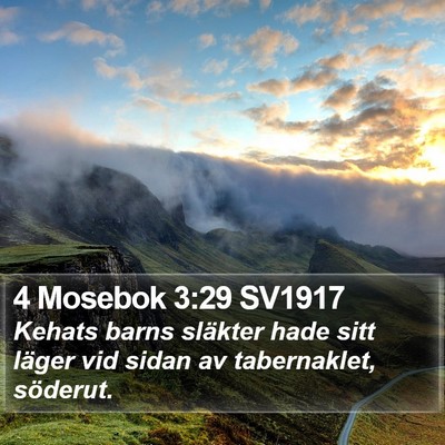 4 Mosebok 3:29 SV1917 Bible Verse Image