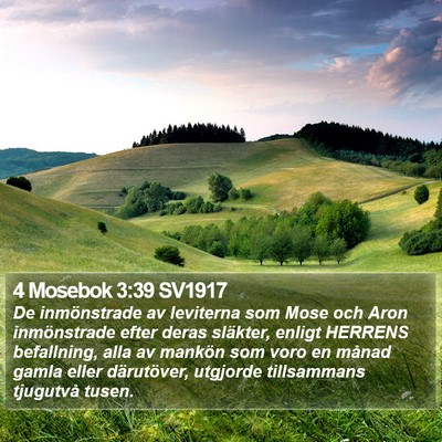 4 Mosebok 3:39 SV1917 Bible Verse Image