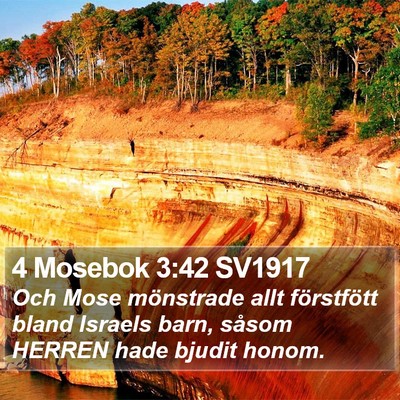 4 Mosebok 3:42 SV1917 Bible Verse Image