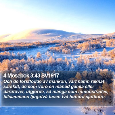 4 Mosebok 3:43 SV1917 Bible Verse Image