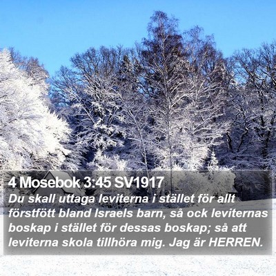 4 Mosebok 3:45 SV1917 Bible Verse Image
