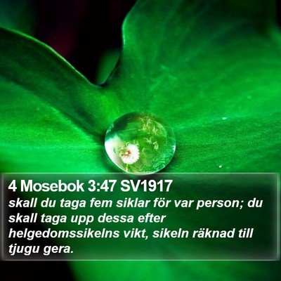 4 Mosebok 3:47 SV1917 Bible Verse Image