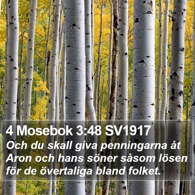 4 Mosebok 3:48 SV1917 Bible Verse Image