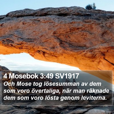 4 Mosebok 3:49 SV1917 Bible Verse Image